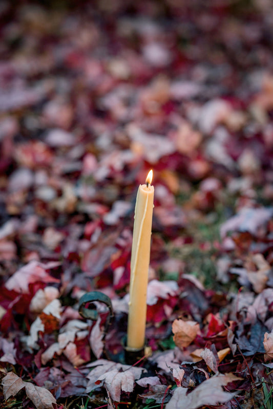 The Virgo Eclipse and the Mabon Moon:   Embracing the Slower Pace