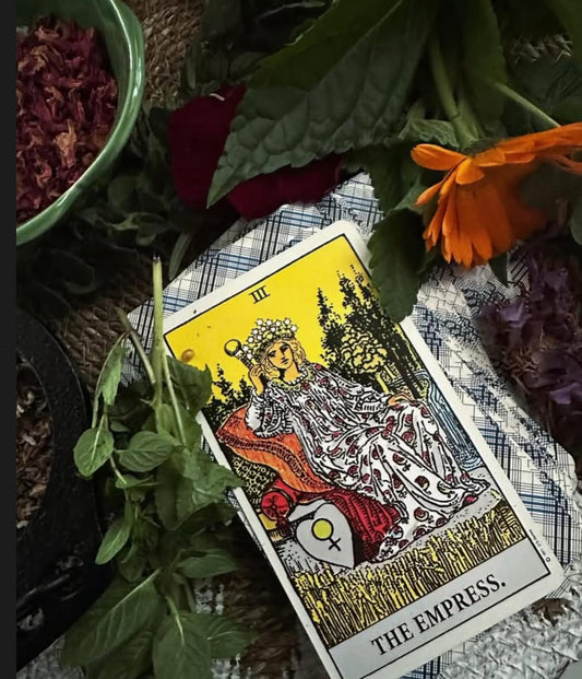 Self Paced Professional Level Tarot Course