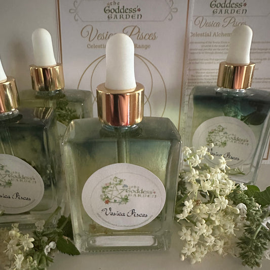 Vesica Pisces - Creation Magic