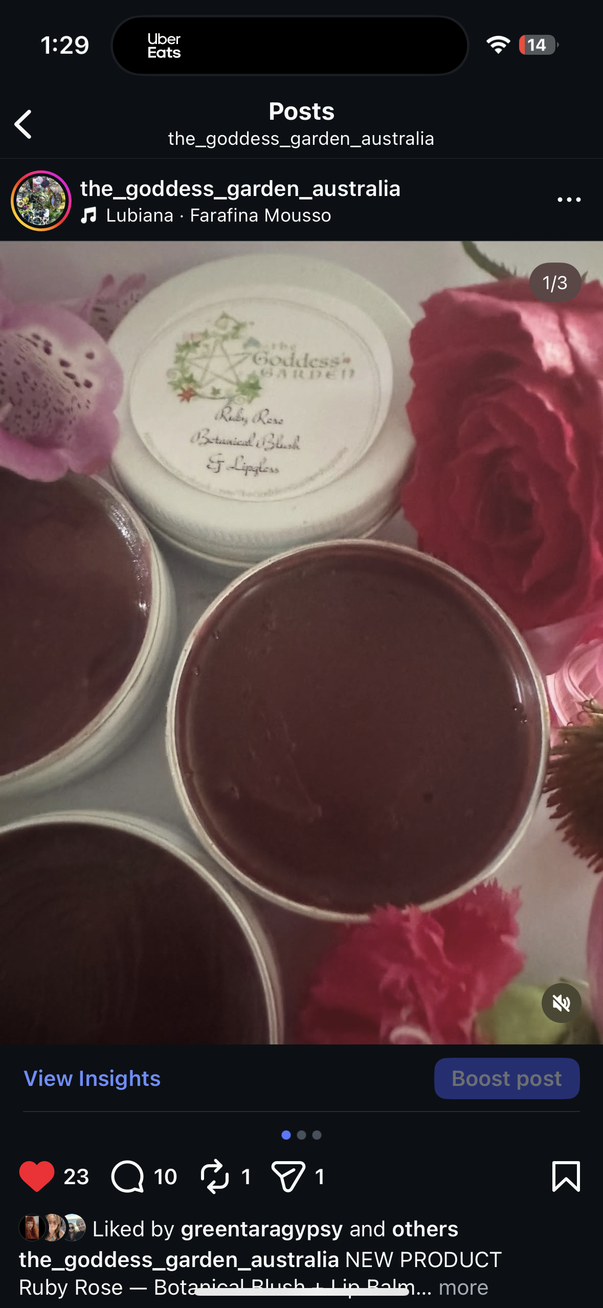 Persephone Lipgloss and blush