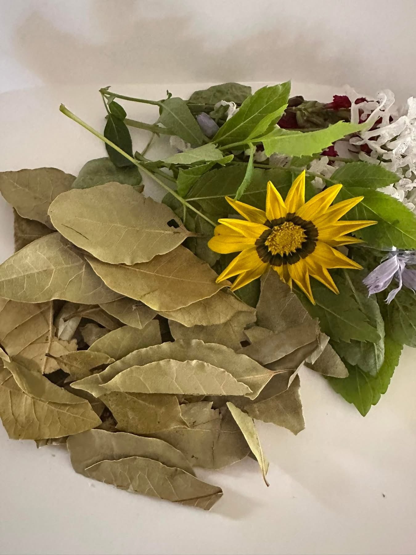 Bay Leaf