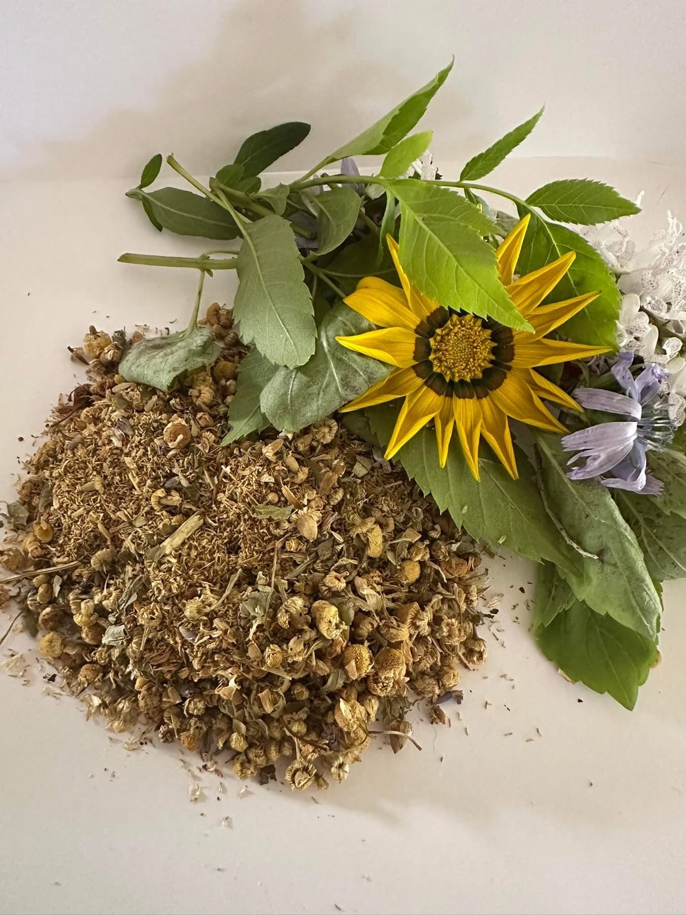 Chamomile