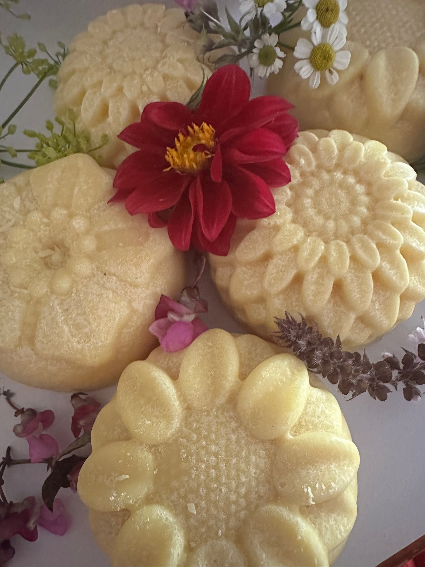 Avalon Solid Body Butter