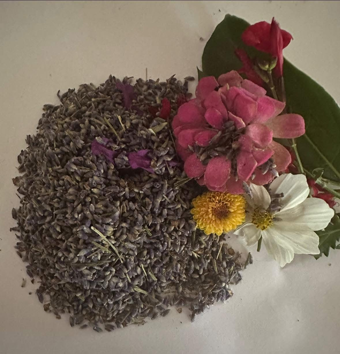 Lavender