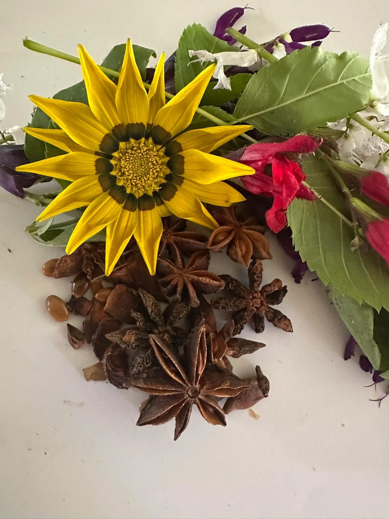 Star Anise
