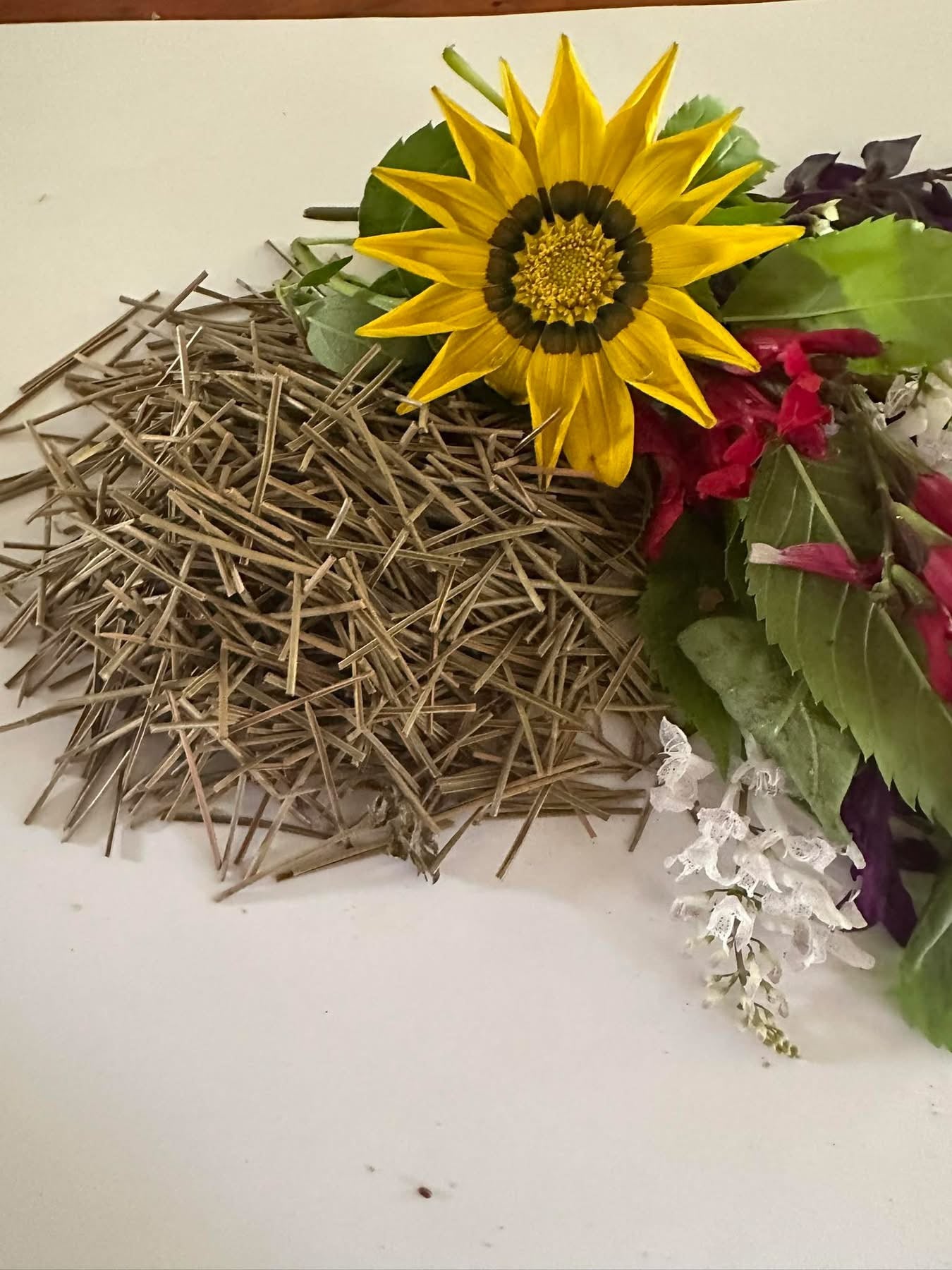 Pine Needles