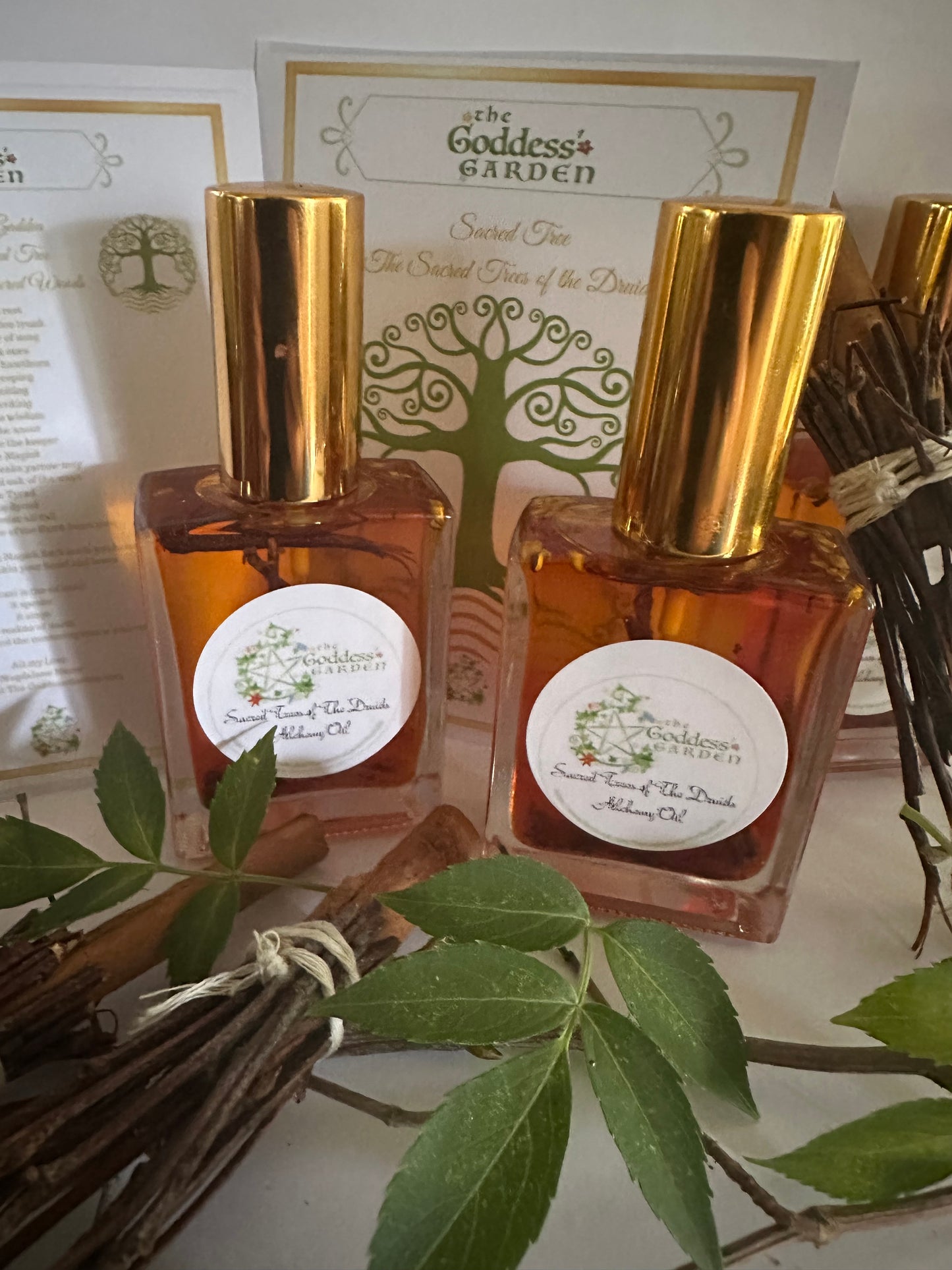 The Sacred Tree of the Druids Wood oil