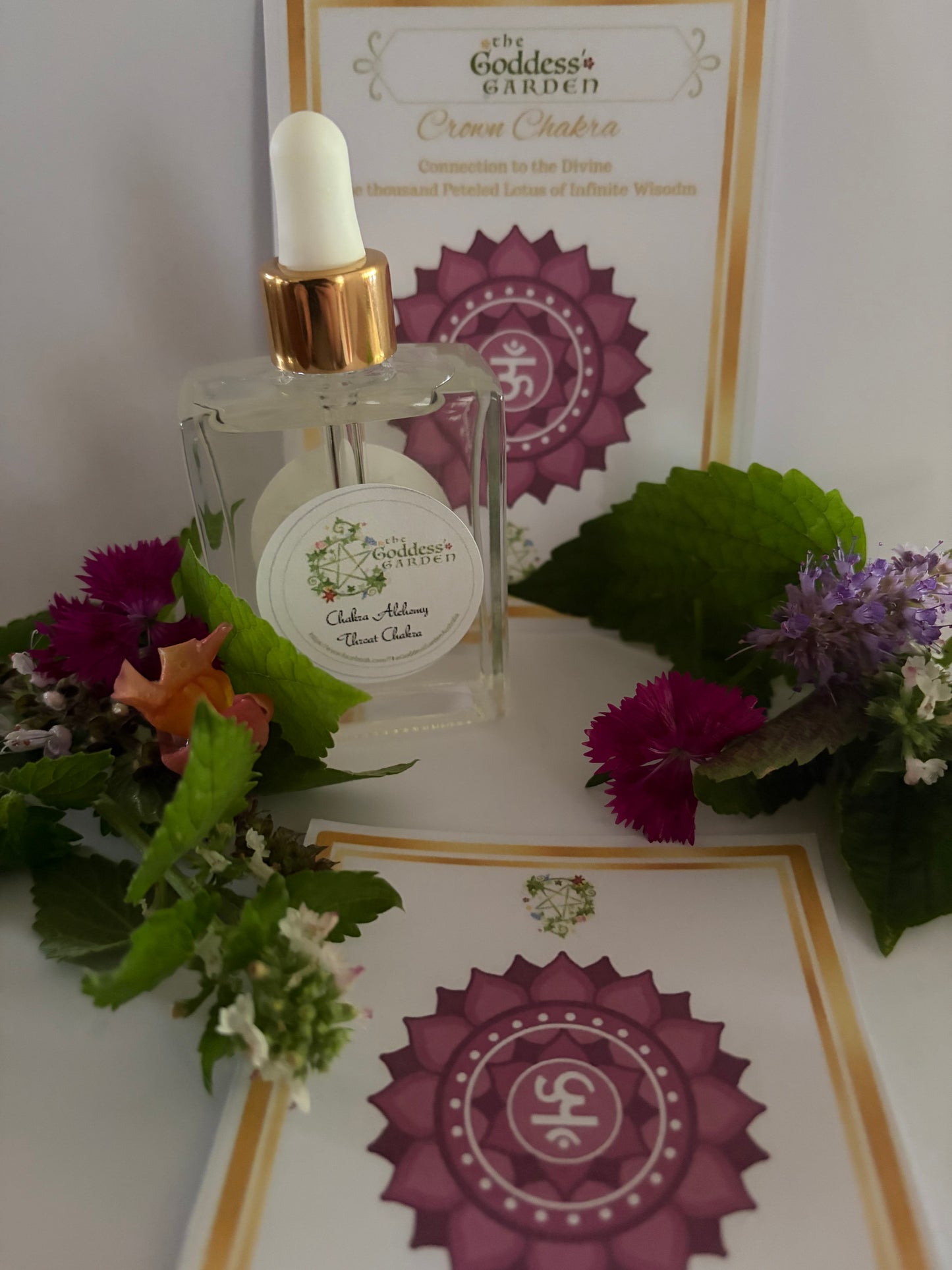 CROWN CHAKRA Alchemy with meditation