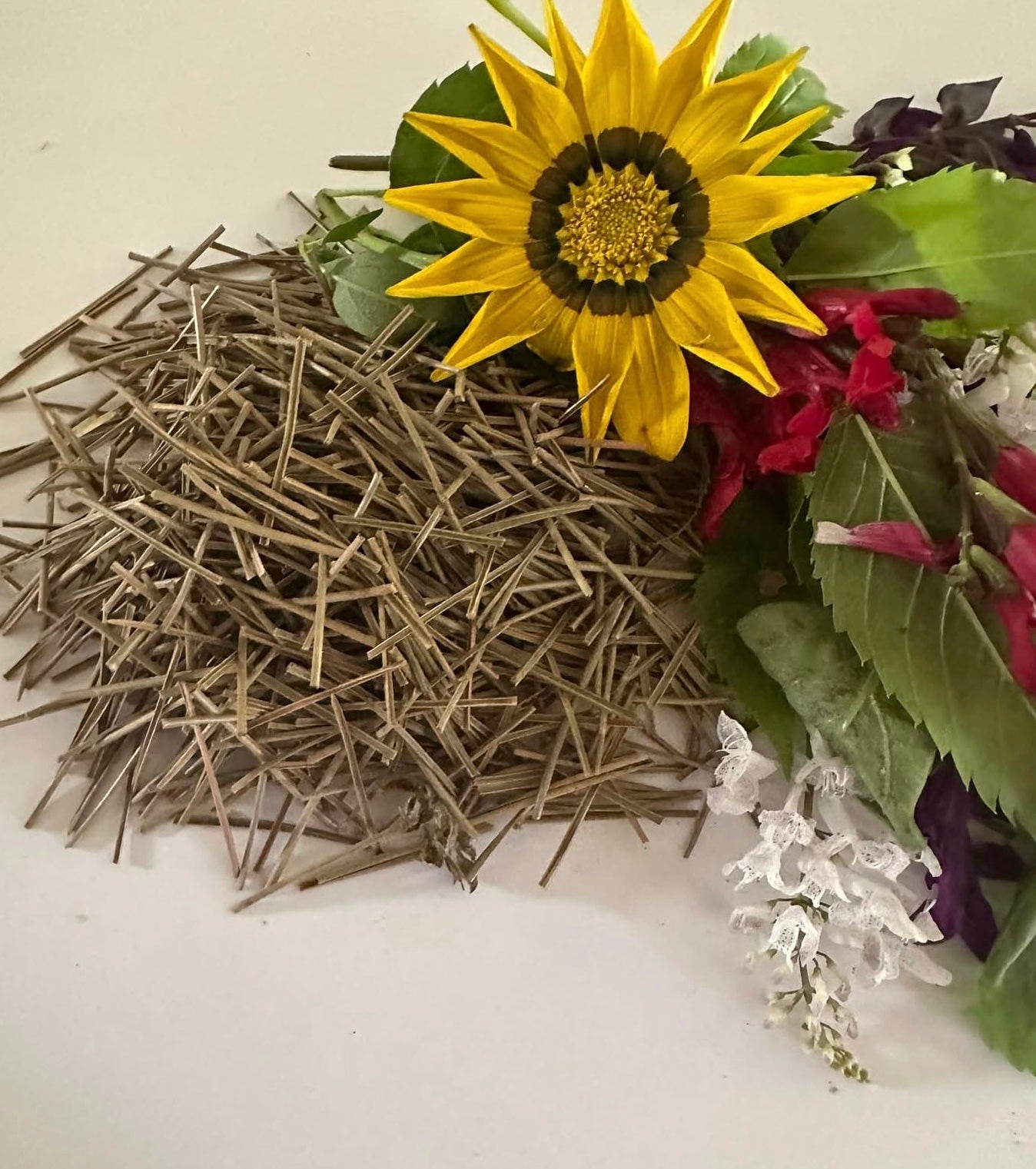 Pine Needles