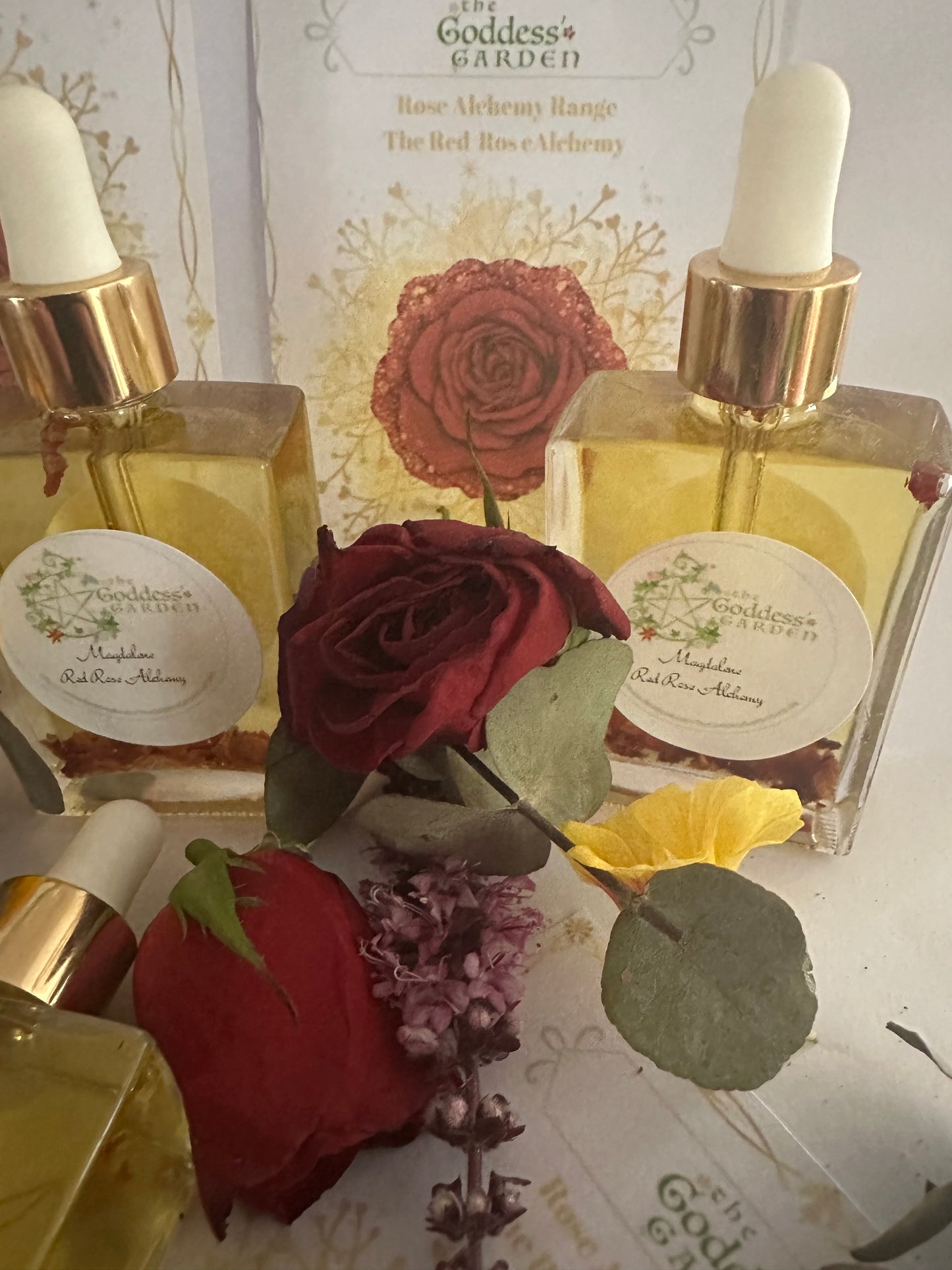 Red Rose Alchemy - Magdalane