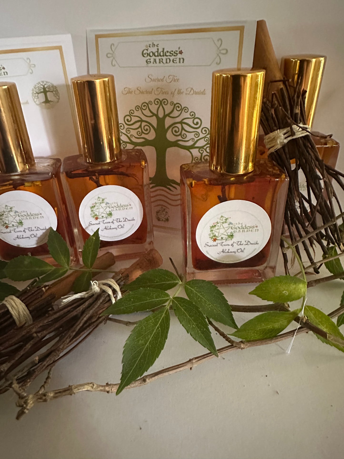 The Sacred Tree of the Druids Wood oil