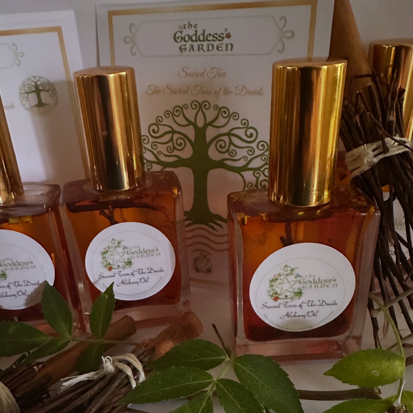 The Sacred Tree of the Druids Wood oil