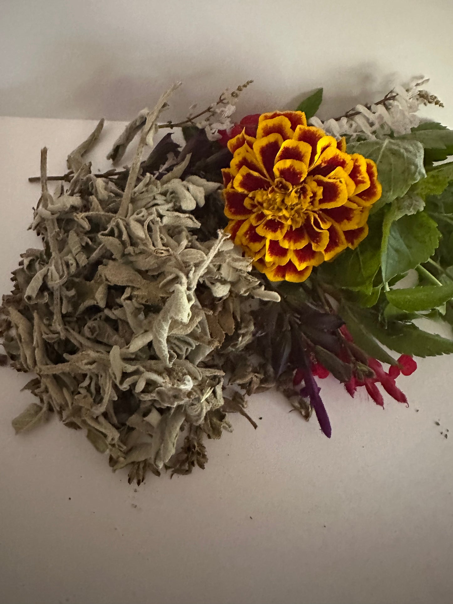 White Sage ( home grown)