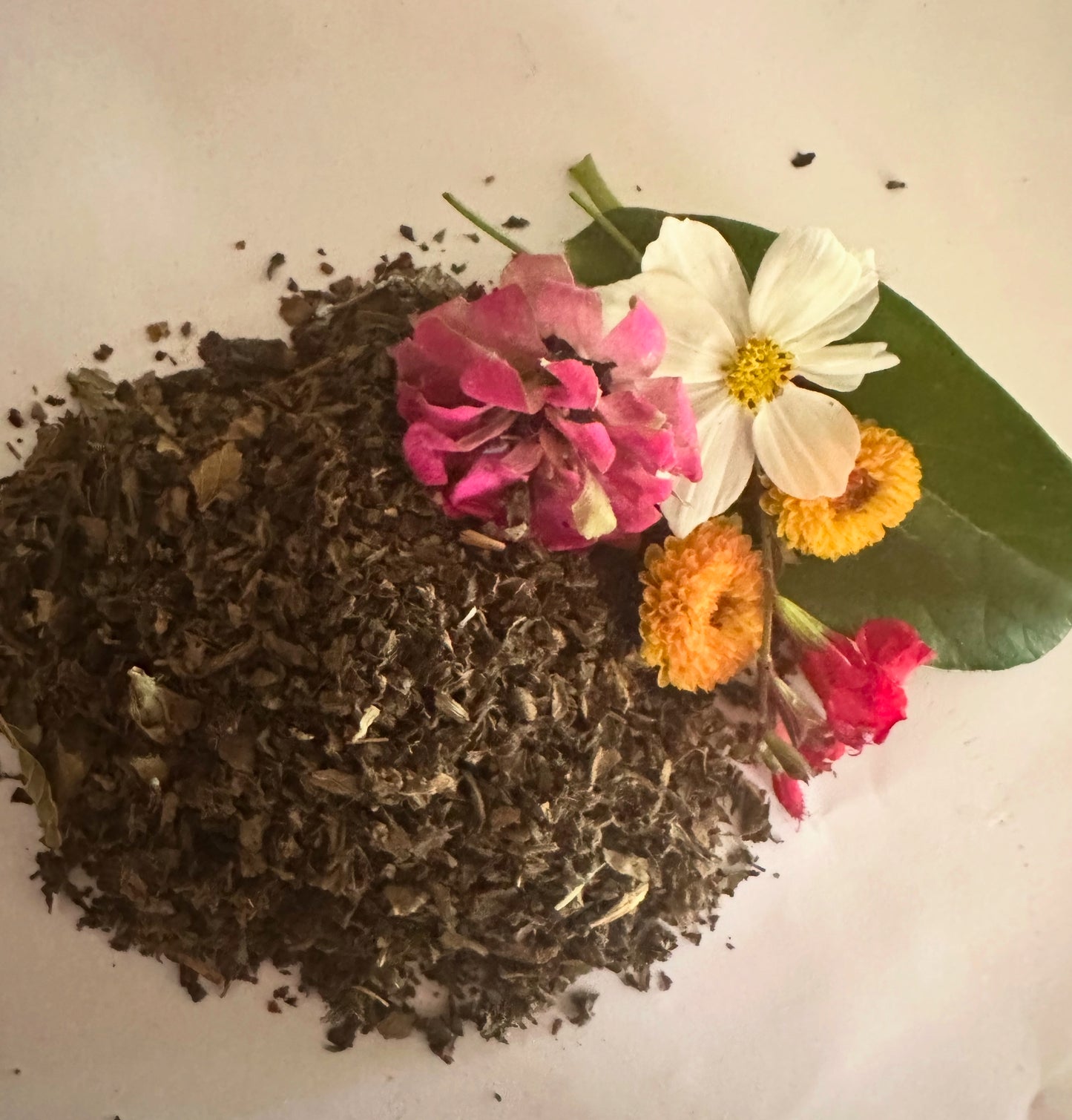 Dried Mullien