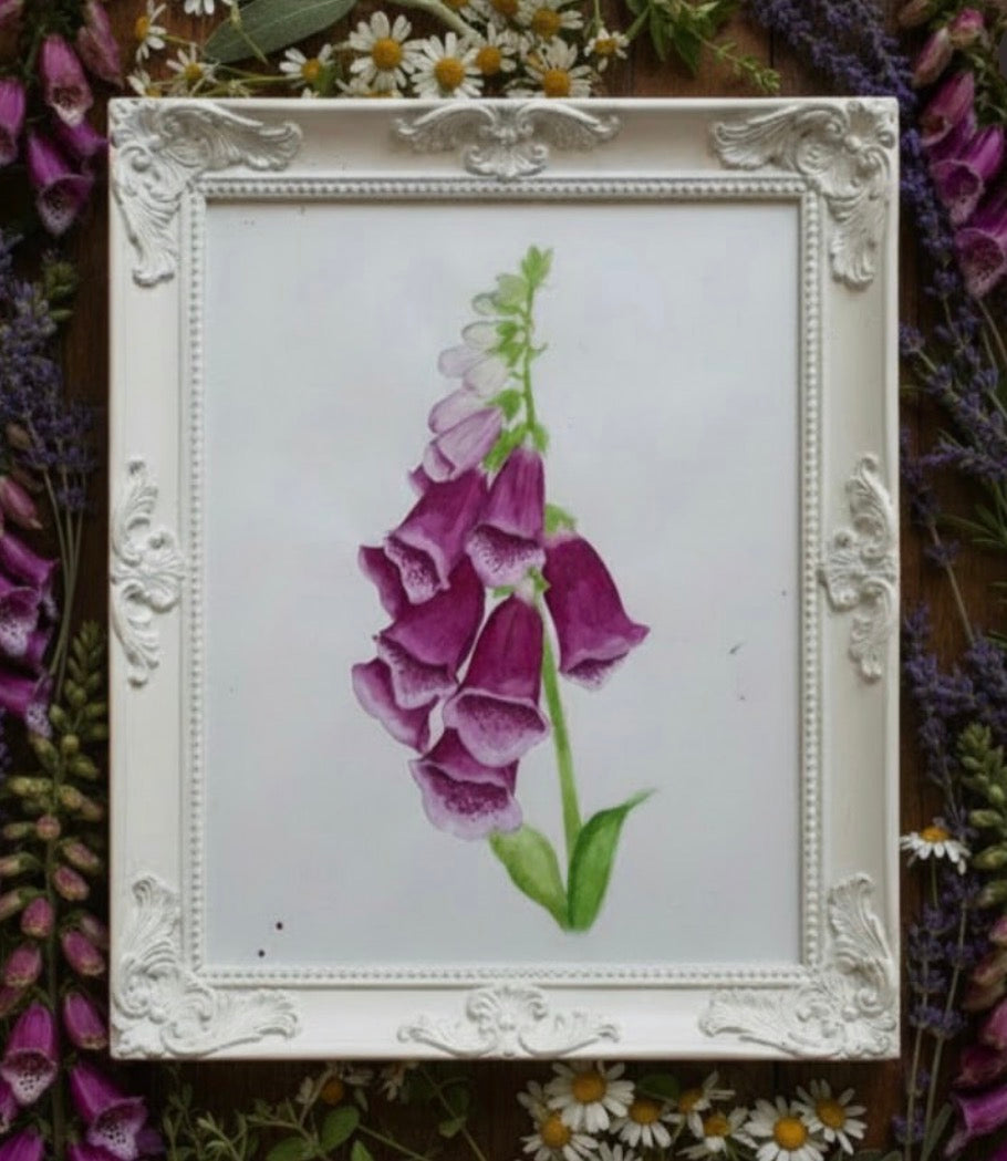 Fox Glove Framed A4 art Prints