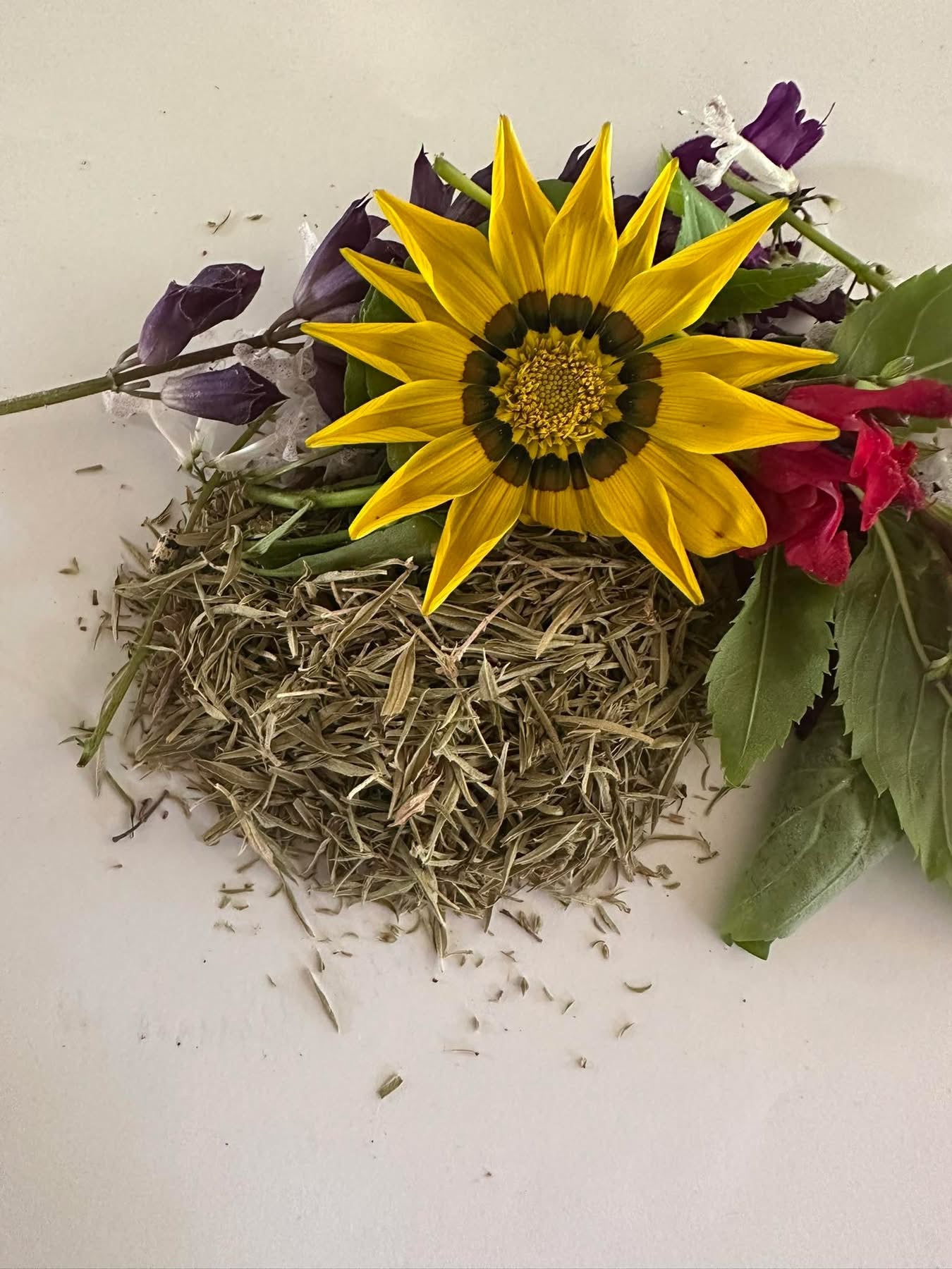 Thyme
