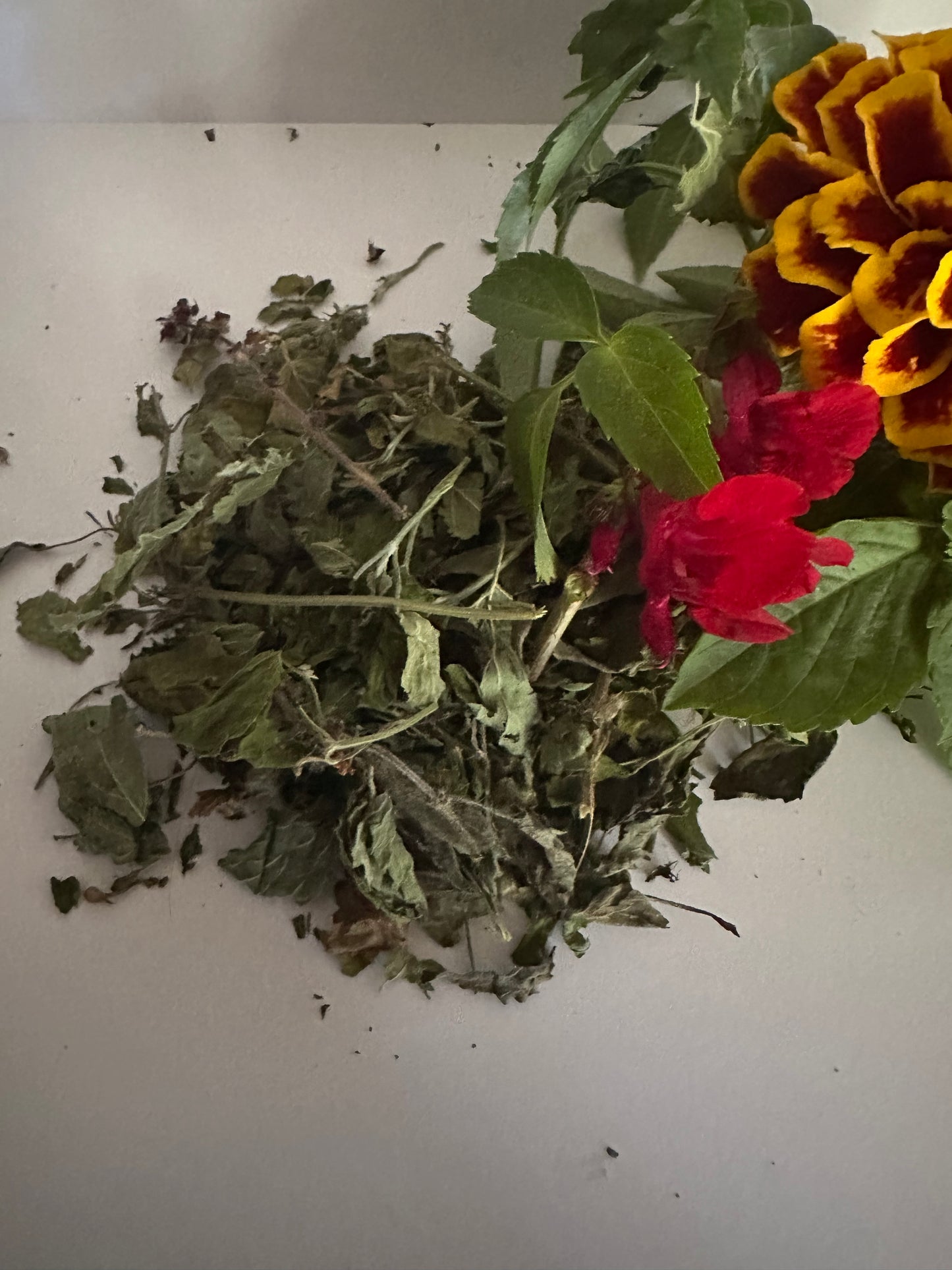 Tulsi - Holy Basil