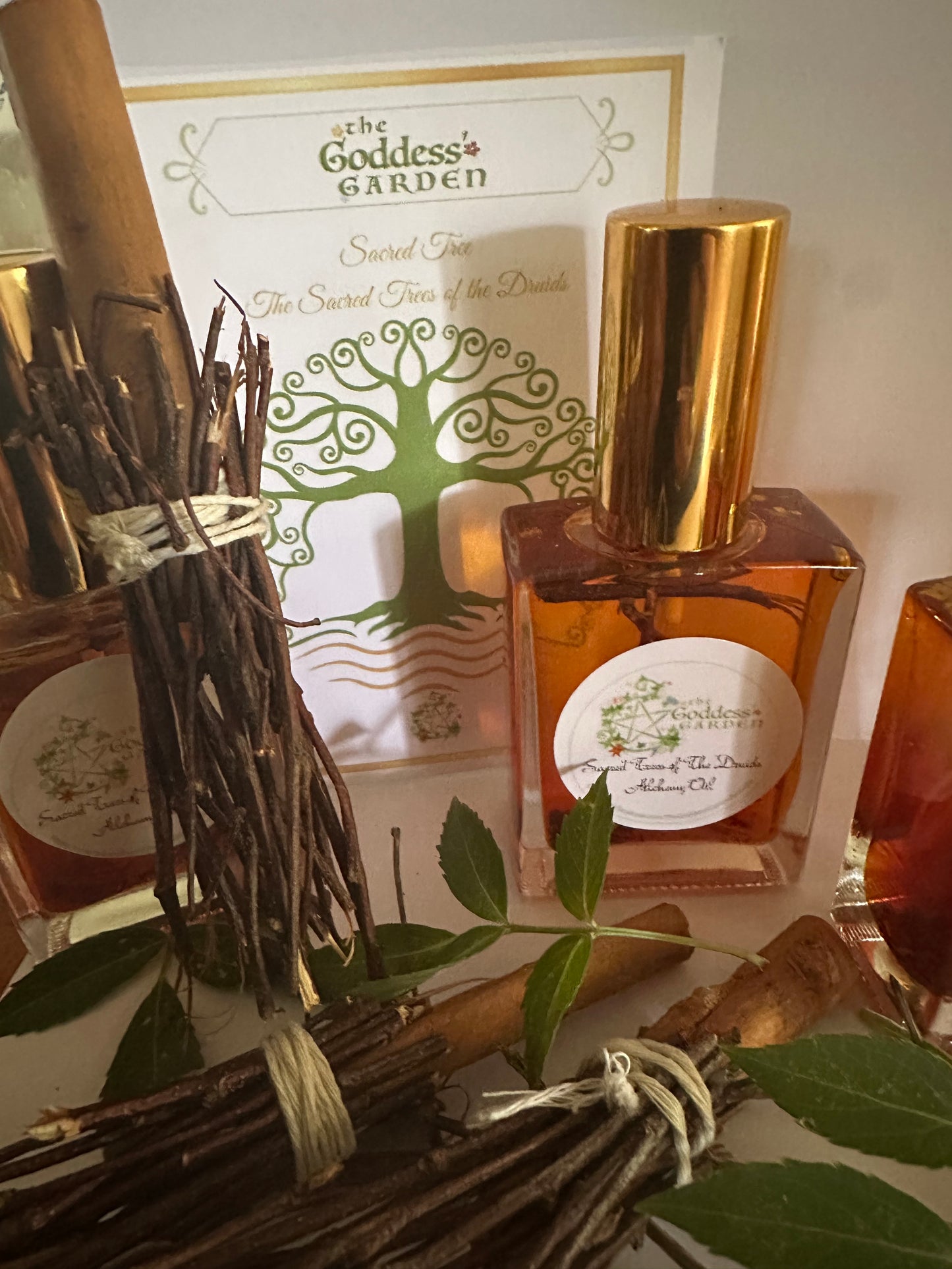 The Sacred Tree of the Druids Wood oil