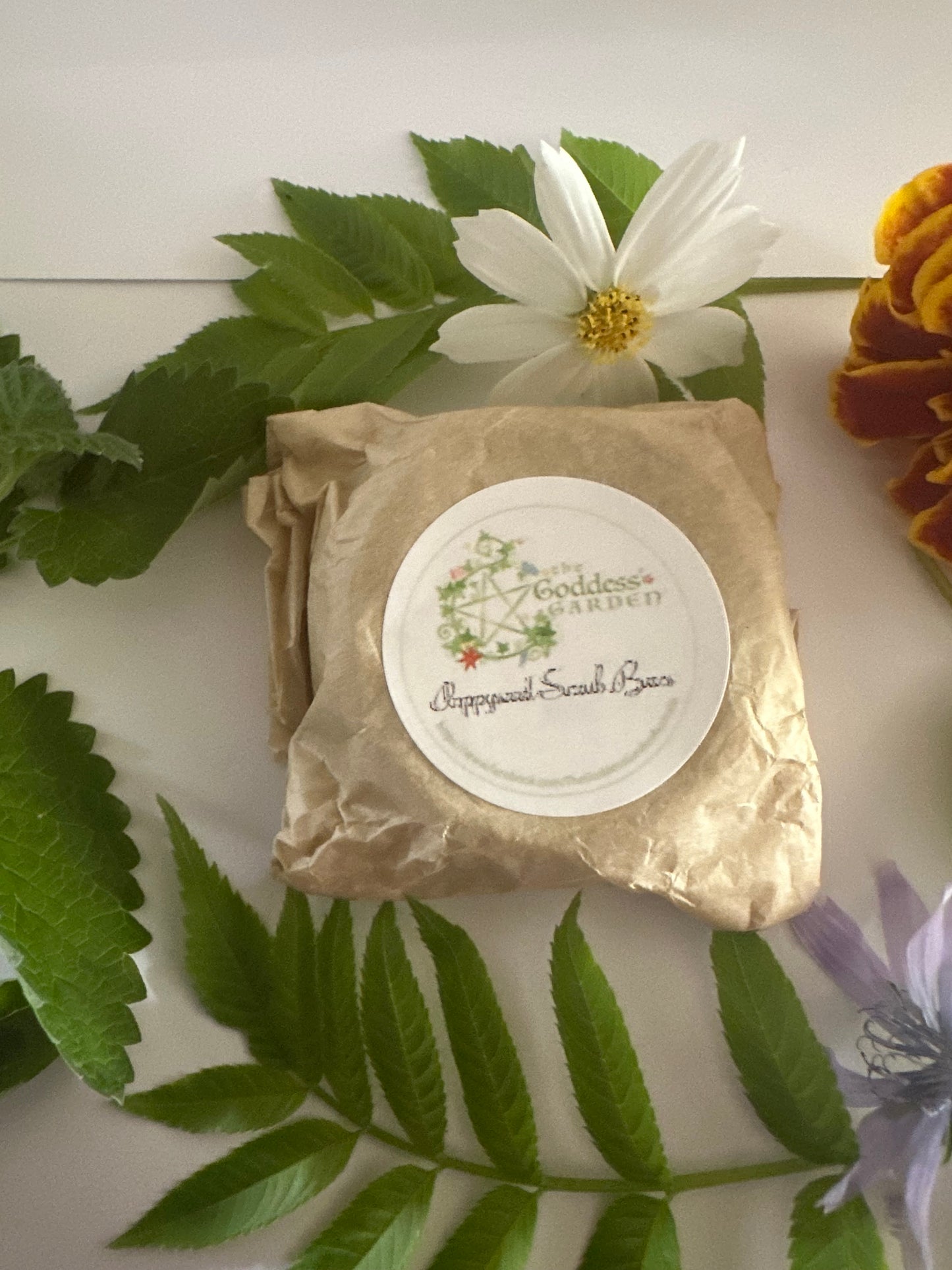 Purification Scrub bars set of 3