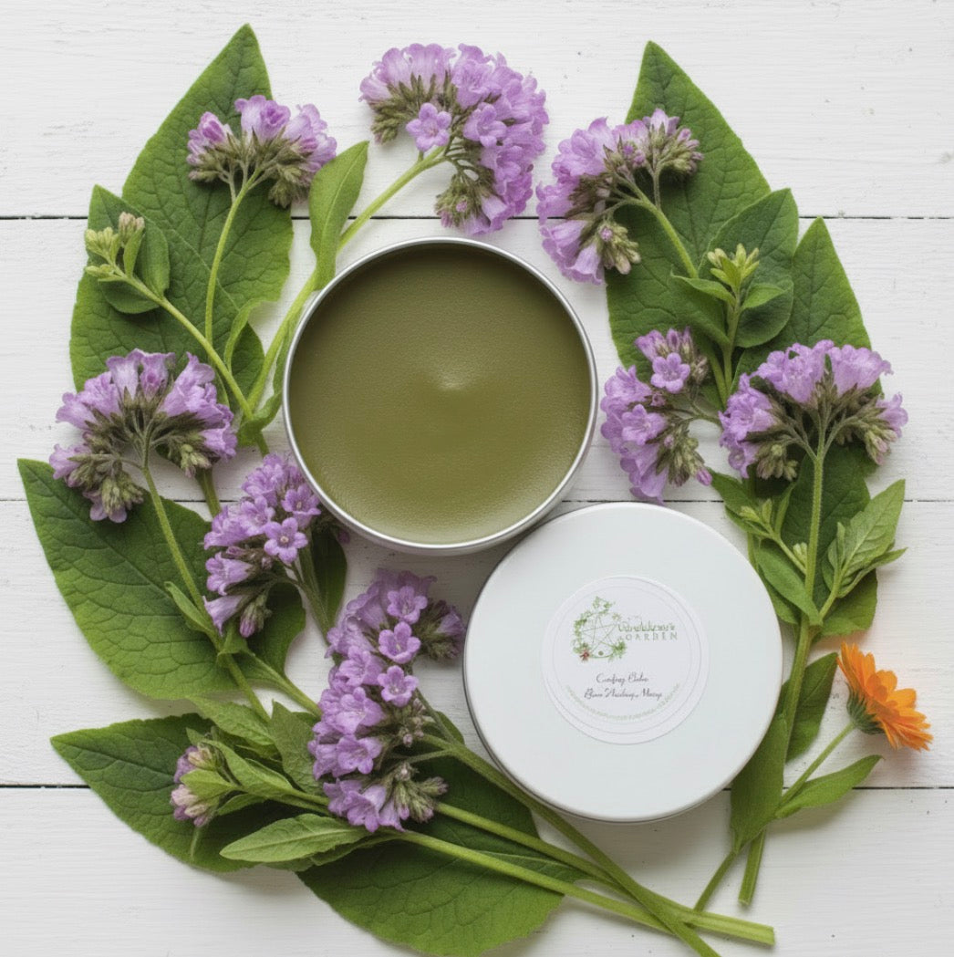 Comfrey Balms