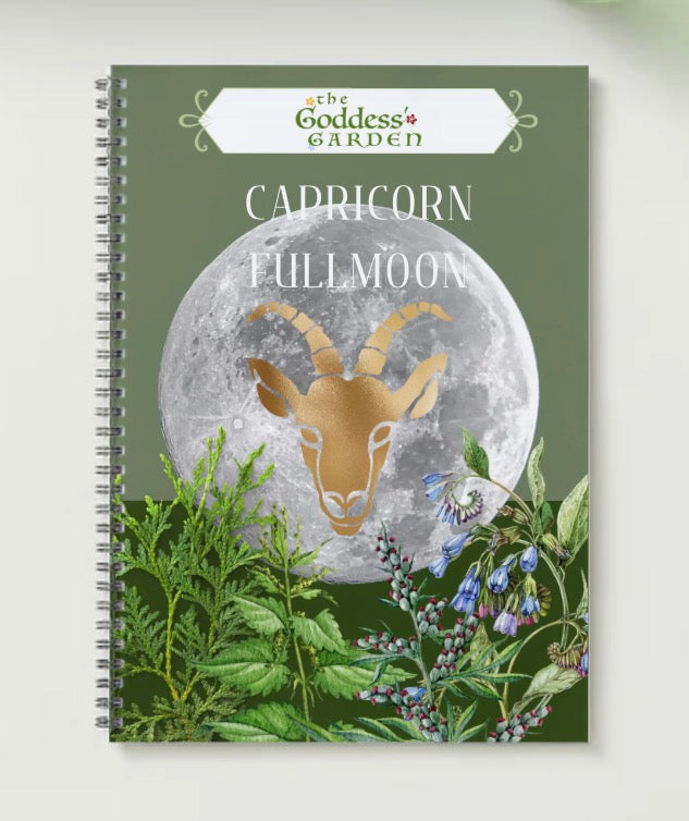 CAPRICORN FULL MOON Lunar Temple