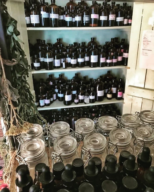 🆕 The Witch's Consult Package