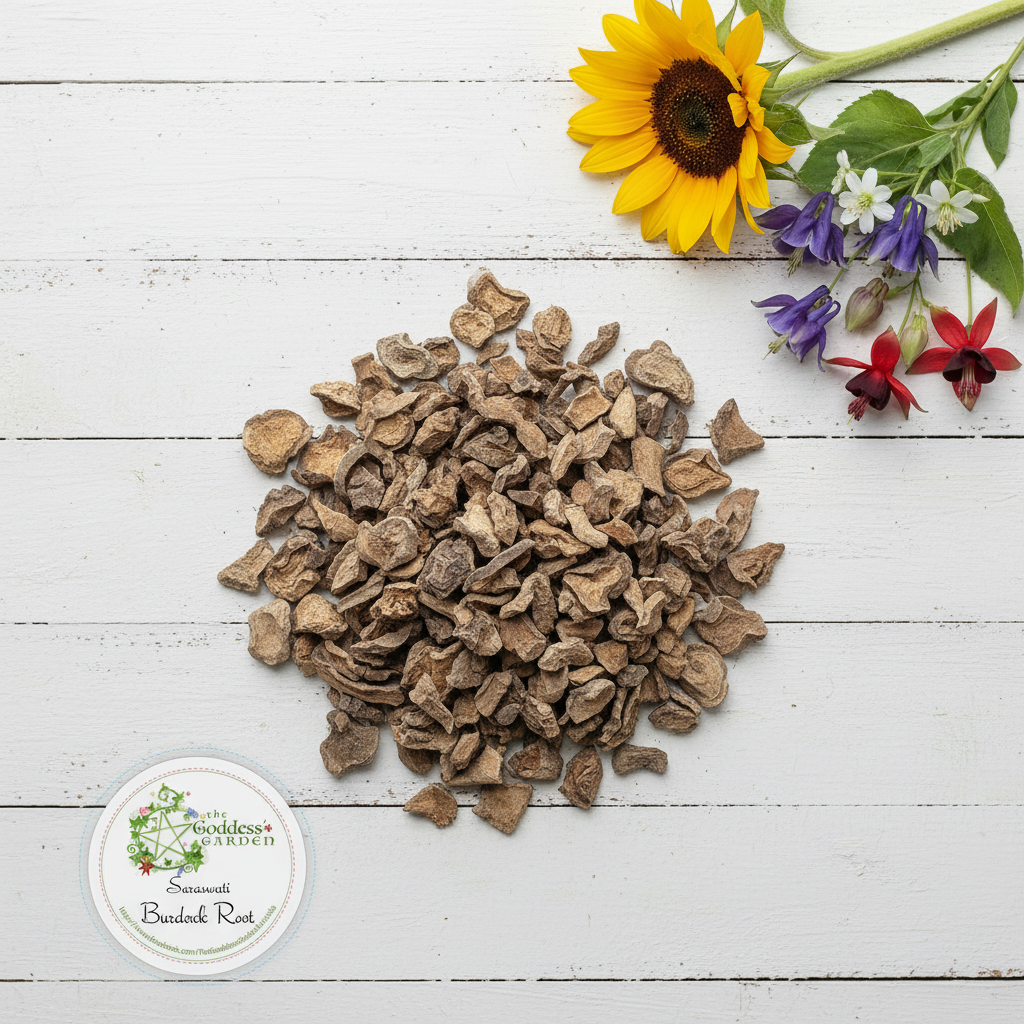 Burdock Root