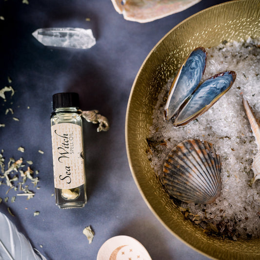 An altar with sea shells, feathers, crystals and a potion.