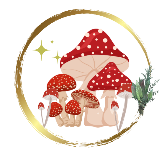 Tshirt-Mushroom-redcap-circle.png