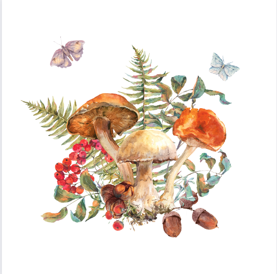 Tshirt-Mushroom-Forest.png