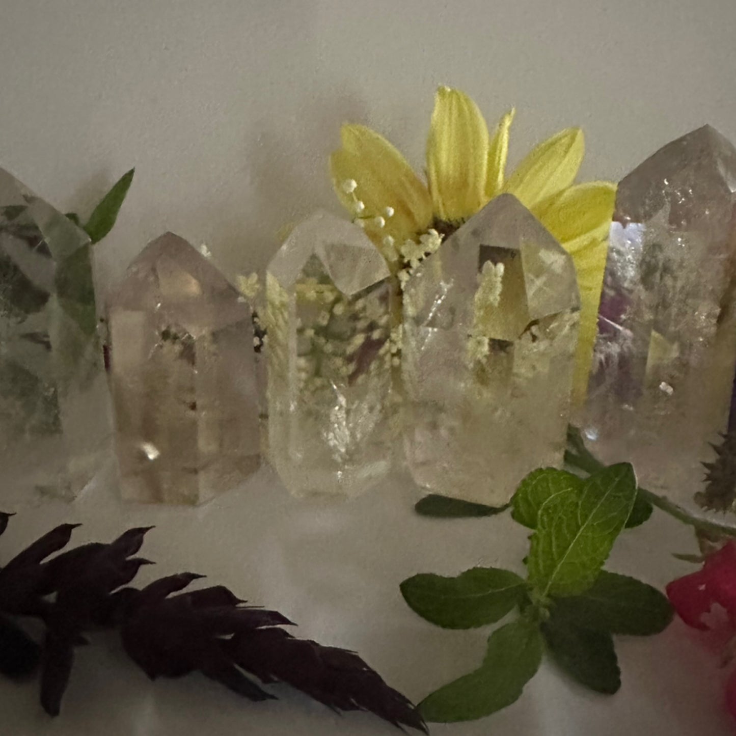 Clear Quartz Points with inclusions