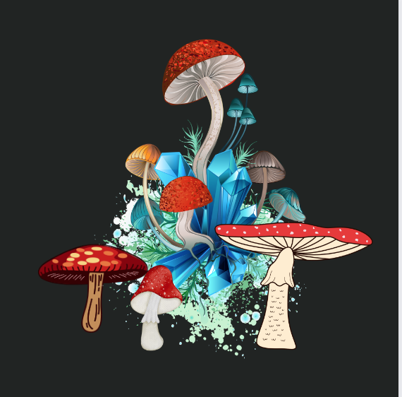Tshirt-Mushroom-Crystal.png