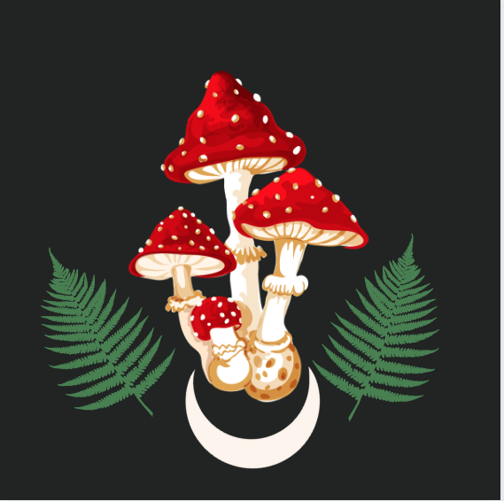 Tshirt-Mushroom-Redcap-moon.png