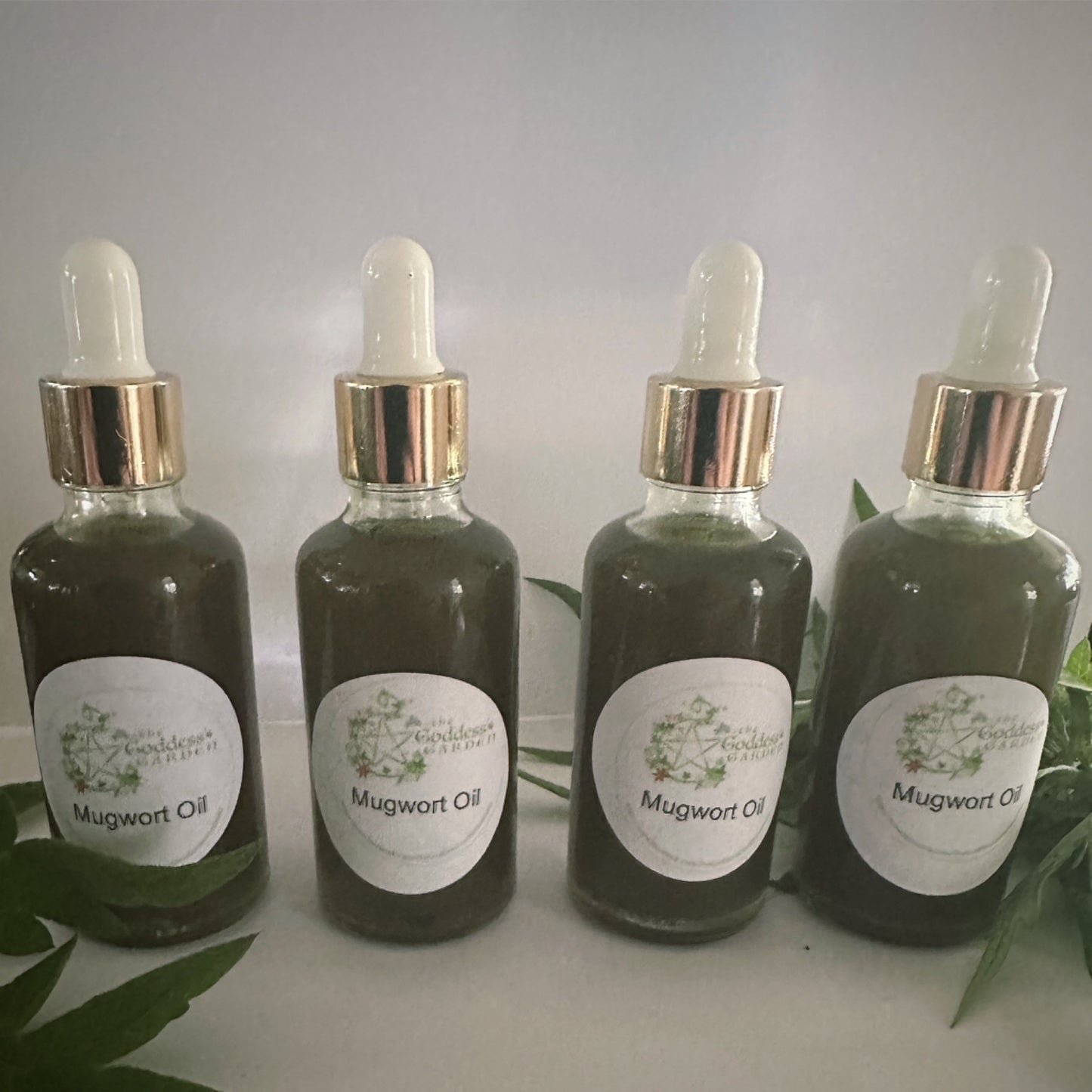 Mugwort Oil
