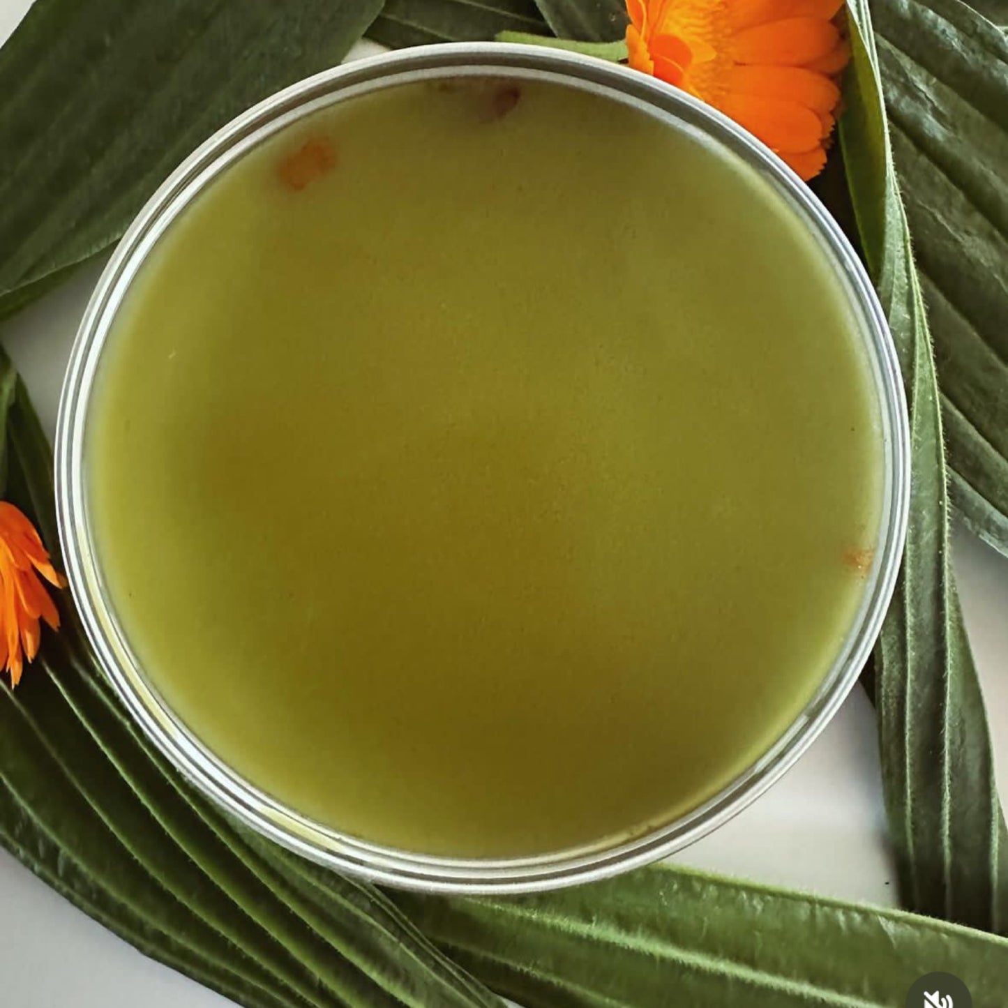 Plantain and Calendula Balm