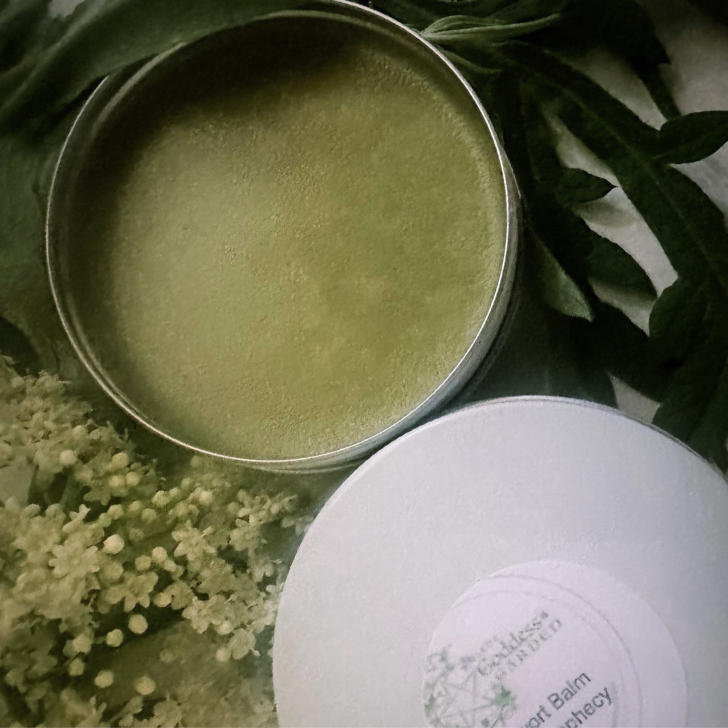Mugwort Balm – Soothing Herbal Blend 🌿💚♾️ (For Topical Use Only)