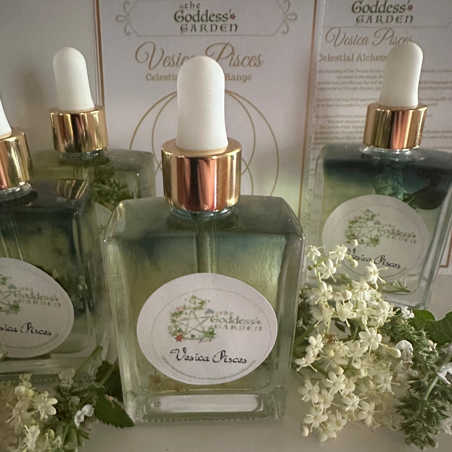 Vesica Pisces - Creation Magic