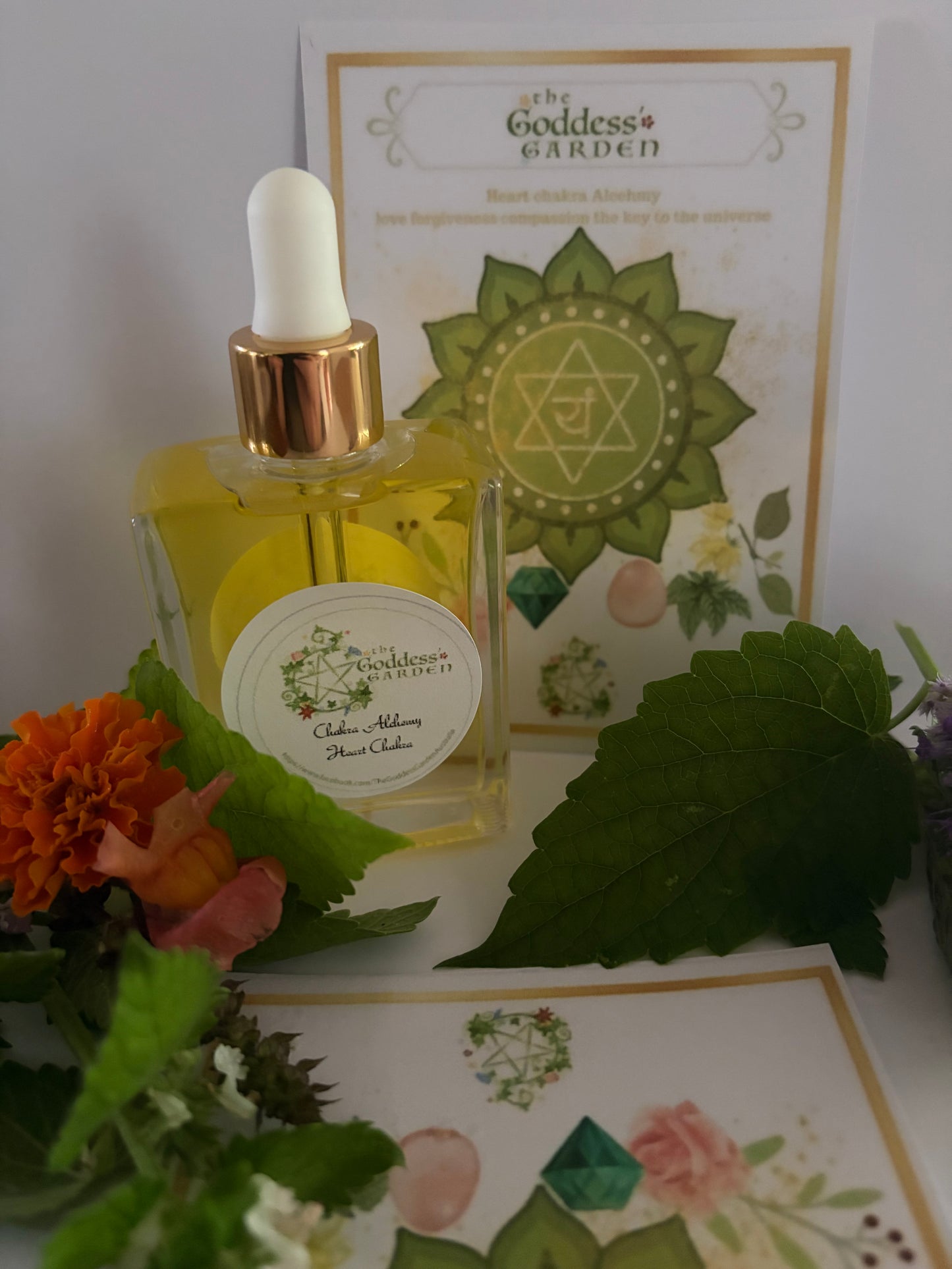 Heart Chakra Alcehmy - with meditation