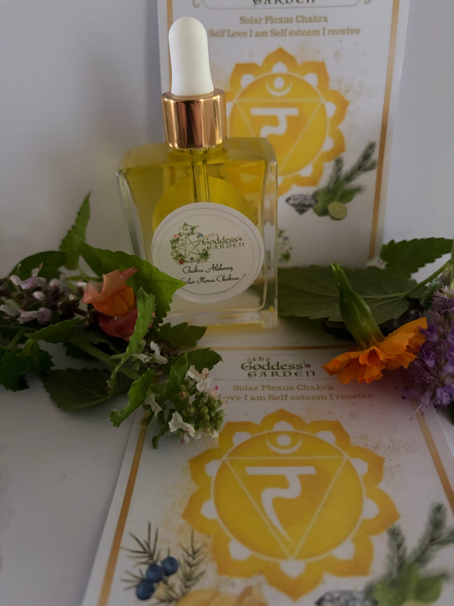 SOLAR plexus Alchemy - comes with meditation