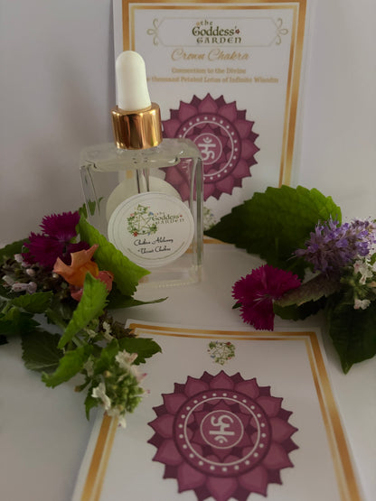 CROWN CHAKRA Alchemy with meditation