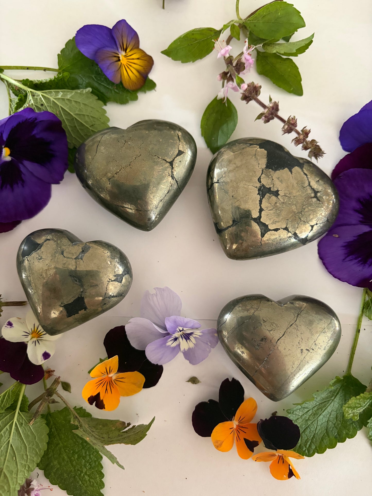 Pyrite Hearts with Black Shale