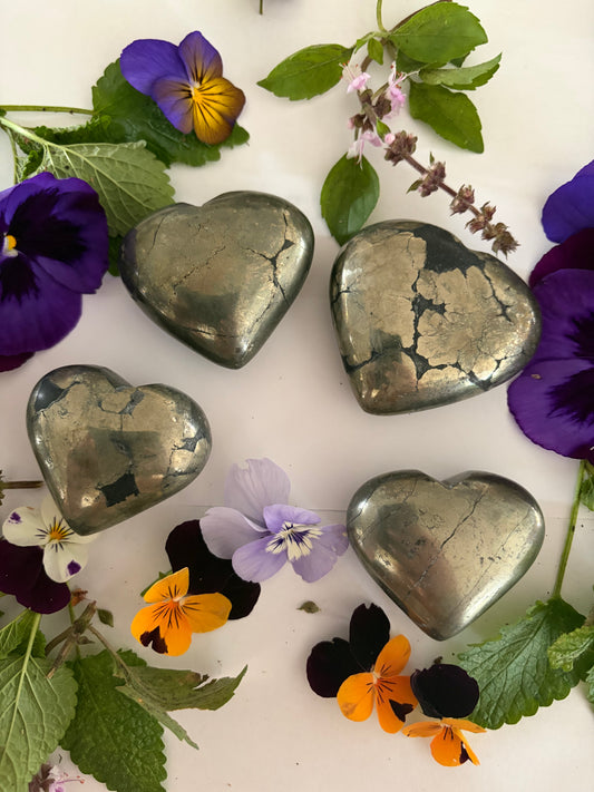 Pyrite Hearts with Black Shale