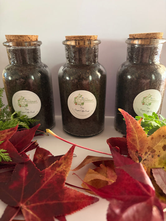 Vesta Coffee Scrub