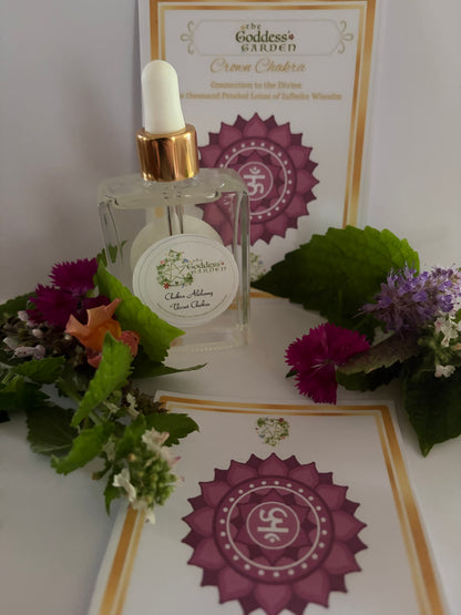 CROWN CHAKRA Alchemy with meditation