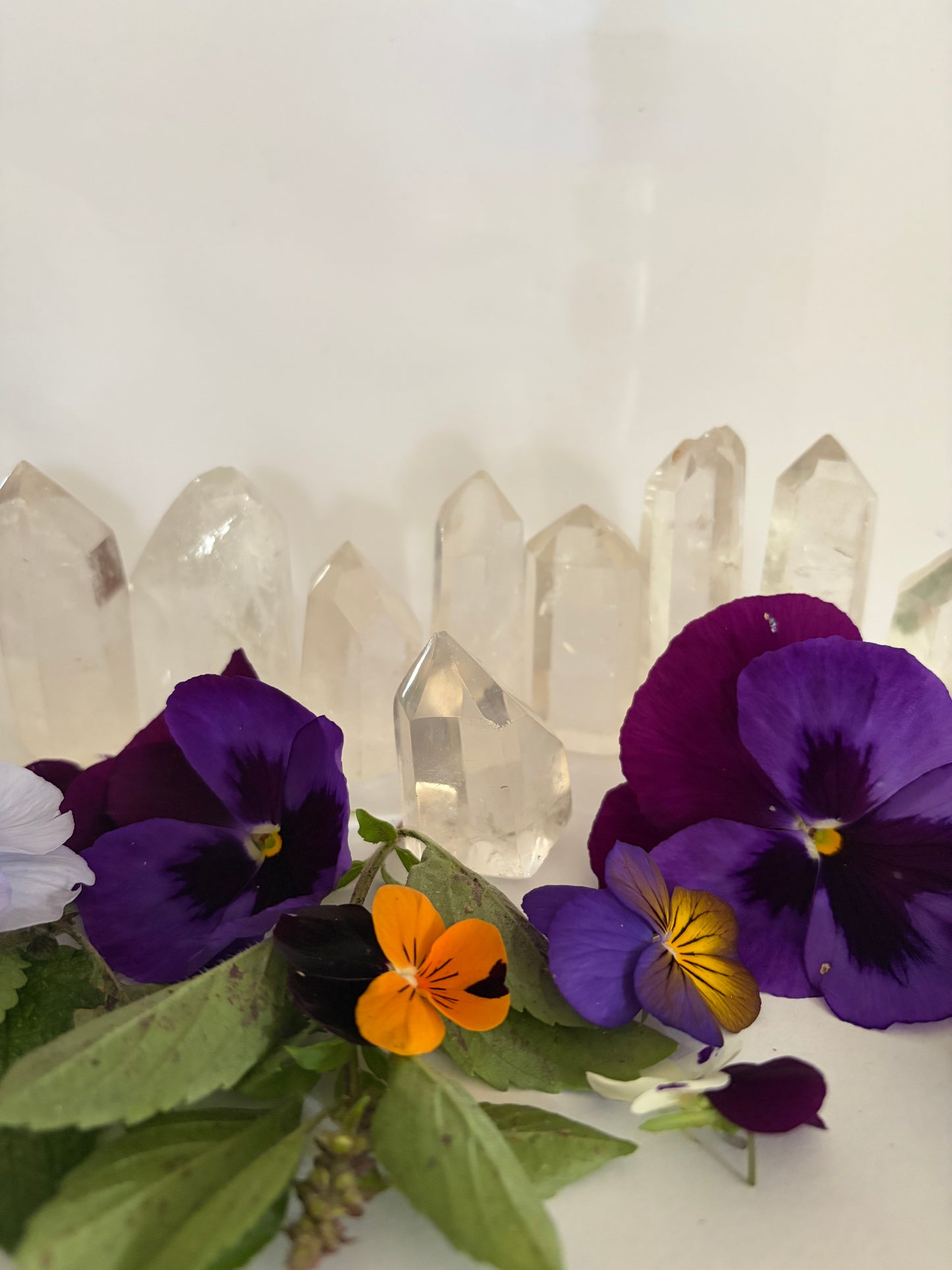Clear Quartz Points