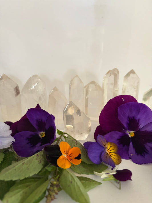 Clear Quartz Points