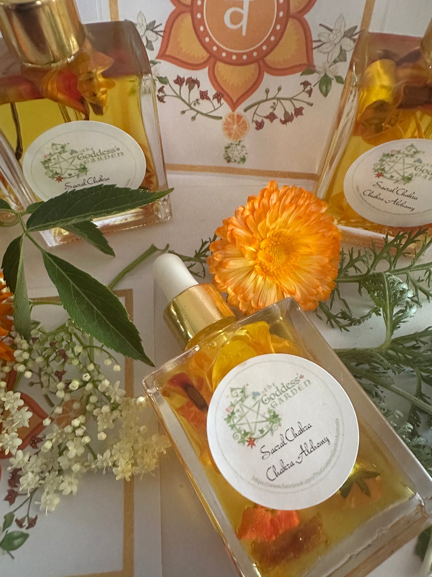 Sacral Chakra Alchemy