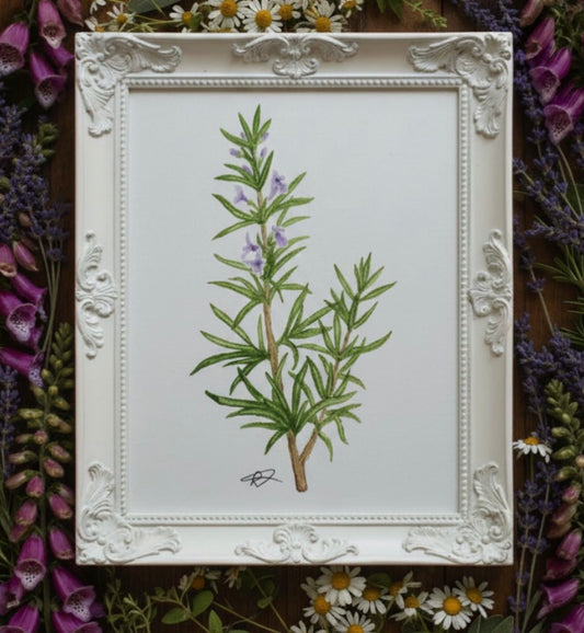 Rosemary A4 art Print