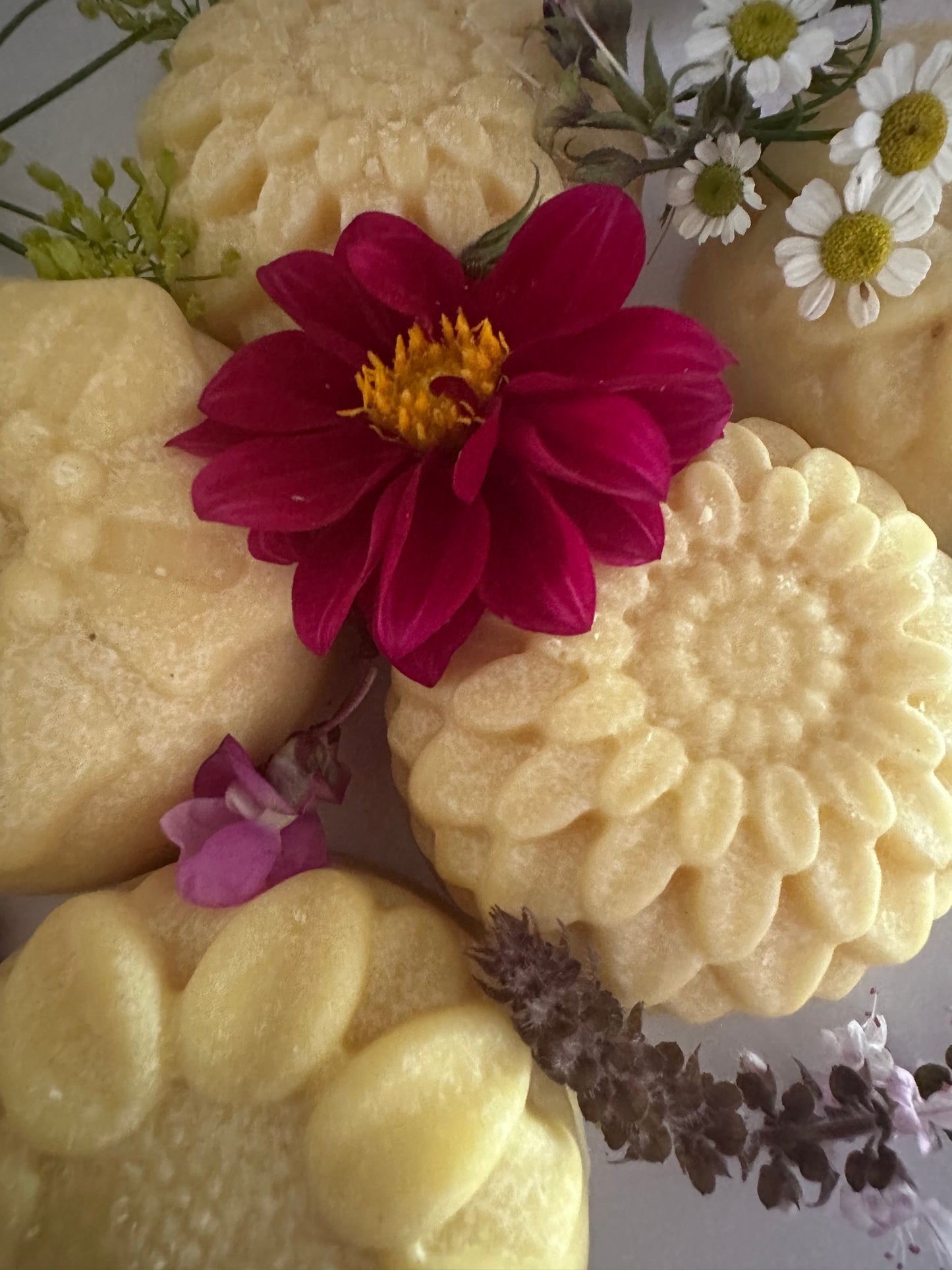 Avalon Solid Body Butter