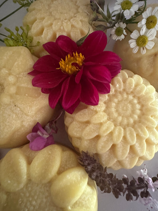 Avalon Solid Body Butter